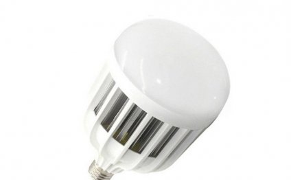 25 Watt Indoor High Power LED