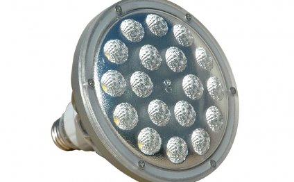 25 Watt LED PAR 38 Spot