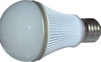 Globe LED Bulbs For Home