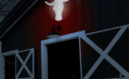 Cowboy Night Light Lighted