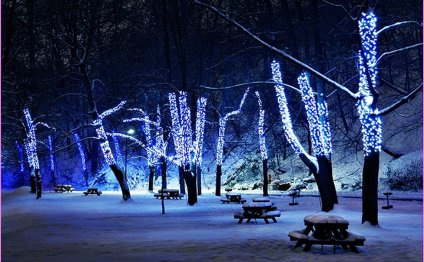 Christmas Tree Led Lights
