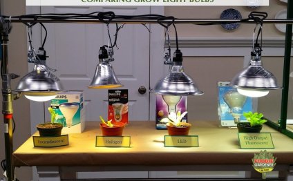 Grow lights compared foodie