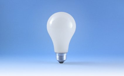 Household light bulbs are