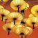 Chinese light