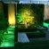 Garden LED Lights