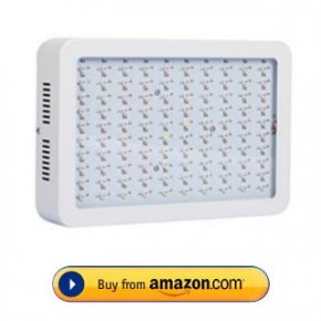 Galaxyhydro LED Grow Light 300w Assessment