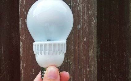 Standard LED light bulbs