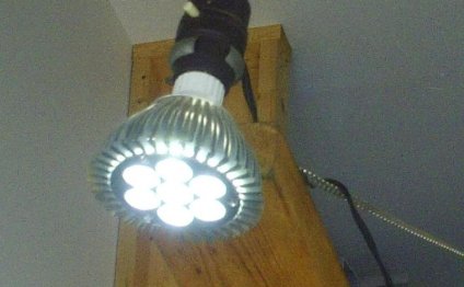 Screw in LED lights