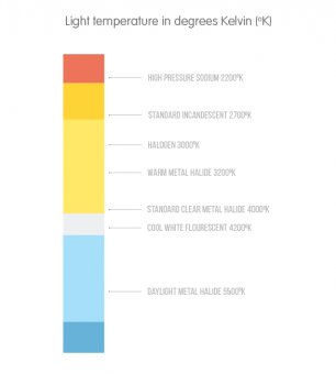 light temperature