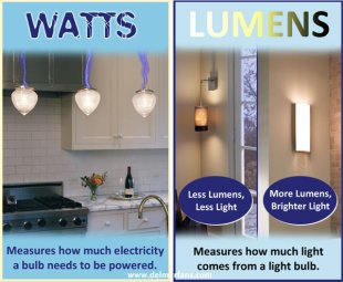 Compare Watts and Lumens