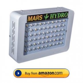 Mars Hydro 300W Review