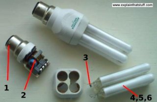 photo showing components inside a concise fluorescent lamp