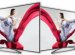 IPS display LED TV