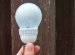 Standard LED light bulbs