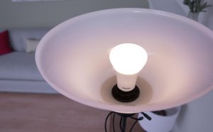 Brightest LED Flood light bulbs