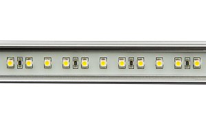 LED High Power Light