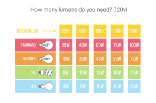 the american lumen