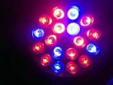 LED Grow Lights Wholesale