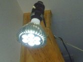 Screw in LED lights