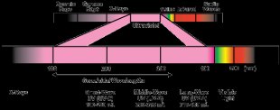 Ultraviolet Light Spectrum