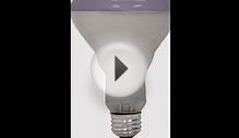 Grow Light Bulbs