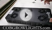 GrowthStar COB LED Grow Lights Canada & USA