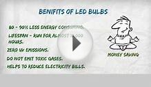 Importance of LED Bulbs