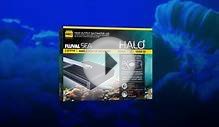 NEW! Fluval LED Aquarium Lighting (Full Range)