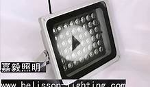 Outdoor LED Flood Light