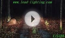 outdoor led flood lighting lamp with wholesale price