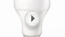 Philips 100W Equivalent Daylight A19 LED Light Bulb 455717
