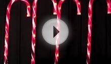 Stake Lights - 4 Large LED Candy Cane Pathway Lighting - 3m