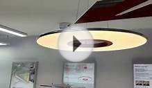Unique LED LAMP Modern Round Donut style Ceiling Fixture