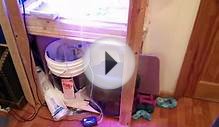 Urban Hydroponics with cheap LED grow light 1
